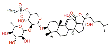 Echinoside B